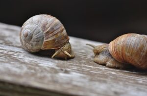 転職エージェントは本当に無料で利用できる？その仕組みとメリットを解説！