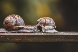 転職エージェントの成果はどれくらい期待できる？
